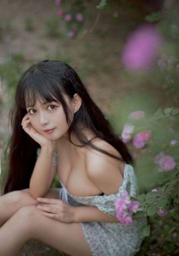豪门主母_DVD免费播放