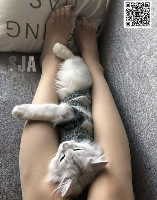 凡人歌电视剧40集免费_BD高清迅雷在线观看