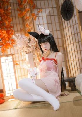 烈火女警花在线观看_国产剧HD在线观看